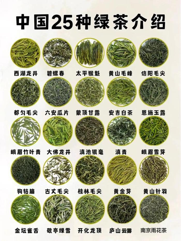 最常见的绿茶有几种品种