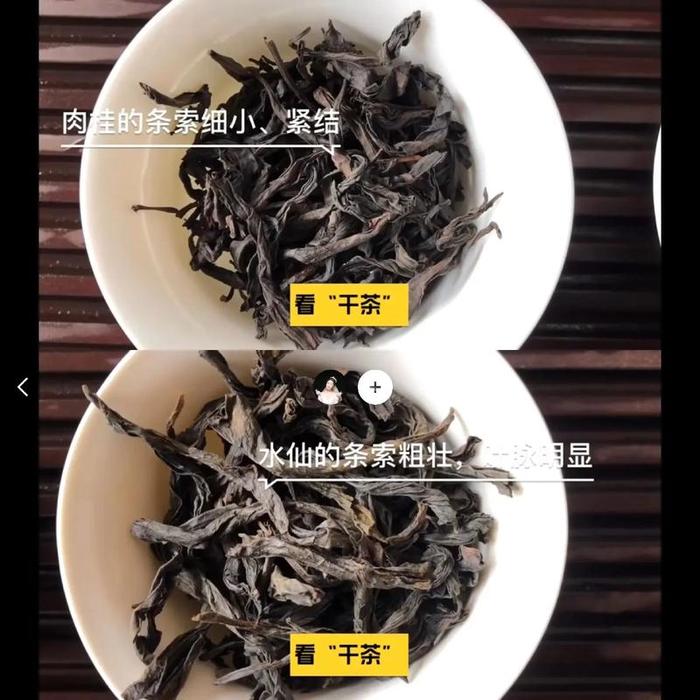 武夷岩茶肉桂属于红茶还是绿茶,武夷岩茶肉桂茶是红茶还是绿茶