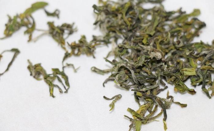 三十几年的老绿茶,存放了快20年的绿茶有用吗