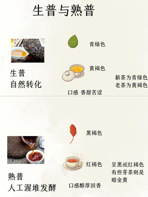 青茶和熟茶的区别是什么