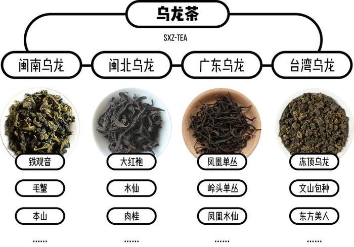 铁观音属于六大茶类的哪一类,铁观音属于六大茶类的哪一种